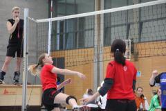 Volley 2012