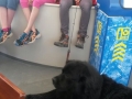 img-20140529-wa0002