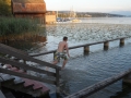sam_4343