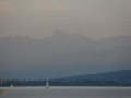 sam_4384