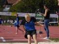 p1030391