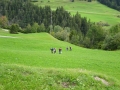 dsc00275