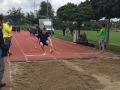 bild-20