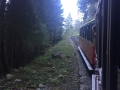 03_reise-6