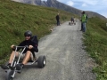 16_mountain-cart-1