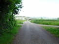DSC09584-min