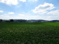 DSC09805