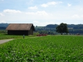 DSC09807