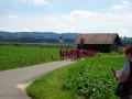 DSC09808