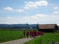DSC09809