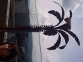 IMG-20190622-WA0015