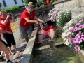 IMG-20190623-WA0016
