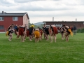 2019-05-17-Kreiscup-Meisterschwanden-07074