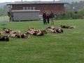 2019-05-17-Kreiscup-Meisterschwanden-07130
