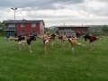 2019-05-17-Kreiscup-Meisterschwanden-07248