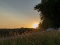2019-07-05-Plauschparcour-08922
