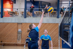 Volleynight Seon 2025