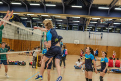 2025-04-05-01.06.42-2